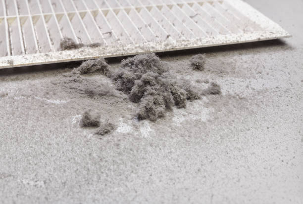 Best Air Duct Cleaning Near Me  in Monroeville, AL