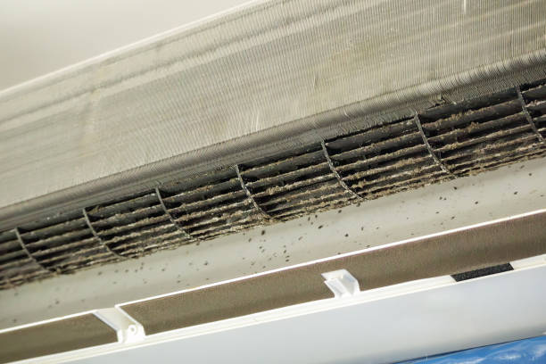 Best HVAC System Cleaning  in Monroeville, AL